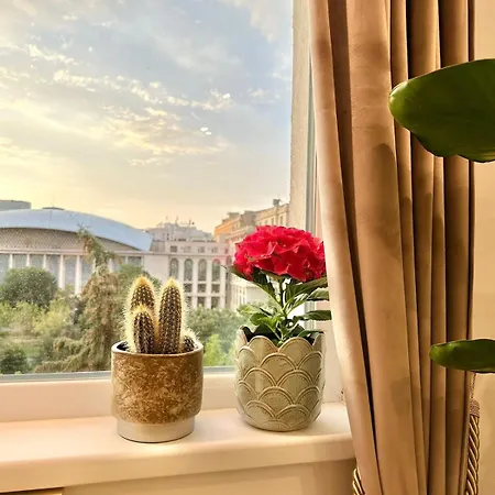 Serendipity I Elegant At Sala Palatului Διαμέρισμα